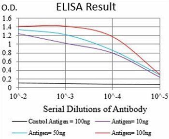 GSK3B Antibody