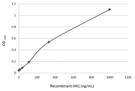 HN1 Rabbit Polyclonal Antibody