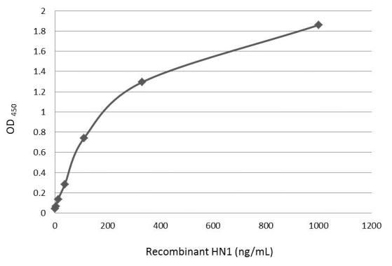 HN1 Rabbit Polyclonal Antibody