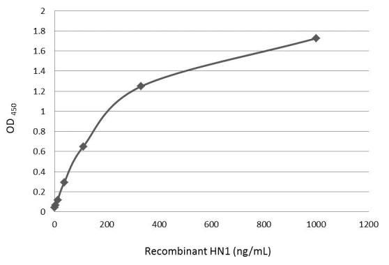 HN1 Rabbit Polyclonal Antibody