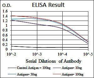 HSP90AA1 Antibody