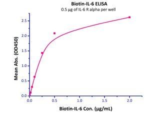 Human IL-6 R alpha Protein, His Tag