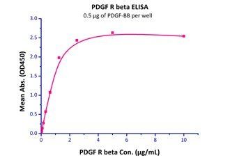 Human PDGF-BB Protein, His-Avi Tag