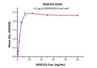Human VEGF121 Protein, His Tag