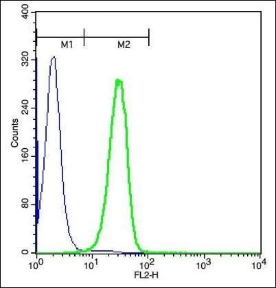 IFI35 Rabbit Polyclonal Antibody