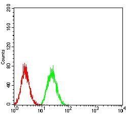 IghA1 Antibody