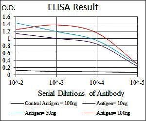 ITGB1 Antibody