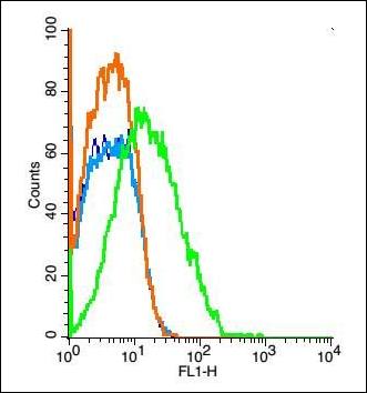 KIR5.1 Rabbit Polyclonal Antibody