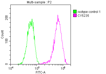 LDLR Antibody