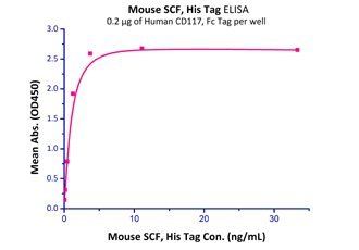 Mouse SCF Protein, His Tag