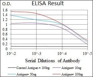 MRPL42 Antibody