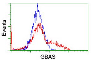 NIPSNAP2 Antibody