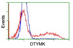 DTYMK Antibody