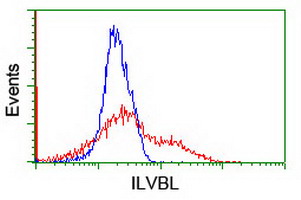 ILVBL Antibody