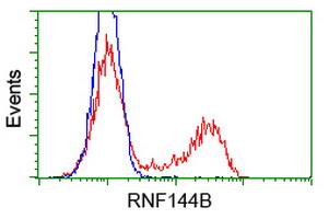 IBRDC2 Antibody