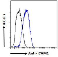 Goat anti-ICAM1 (aa313-327) Antibody