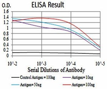PAX6 Antibody