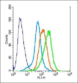 PCDH1 Rabbit Polyclonal Antibody