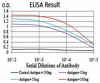 PDGFRB Antibody