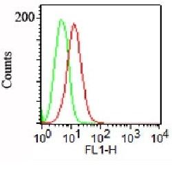 PODXL Mouse Monoclonal Antibody