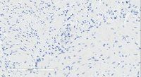 GPR120 Antibody