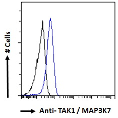 TAK1/MAP3K7 Antibody