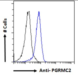 PGRMC2 Antibody
