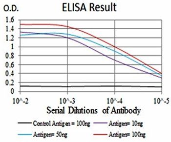 SLINGSHOT-1L Antibody