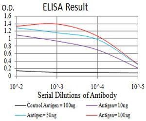 SMAD1 Antibody