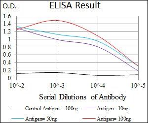 SPP1 Antibody
