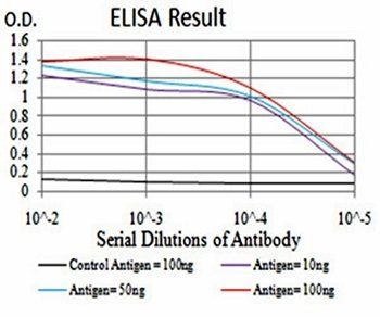 TH Antibody