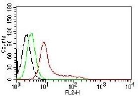 Ku (p70/p80) (Nuclear Marker) Antibody