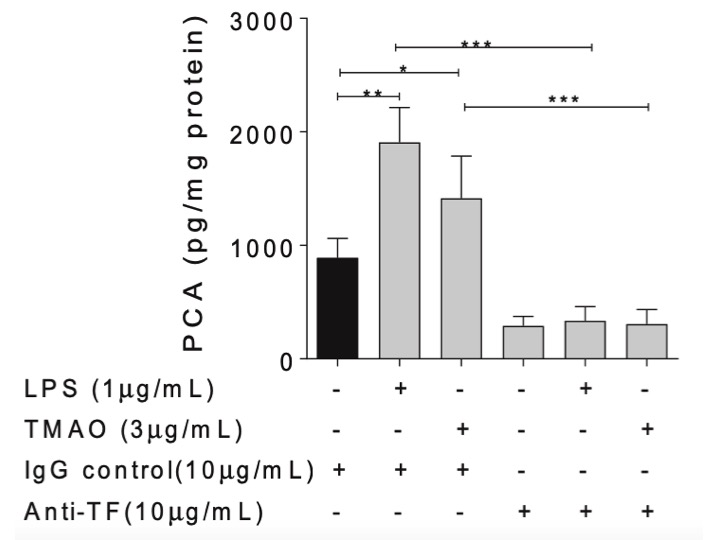 Saravanan Subramaniam