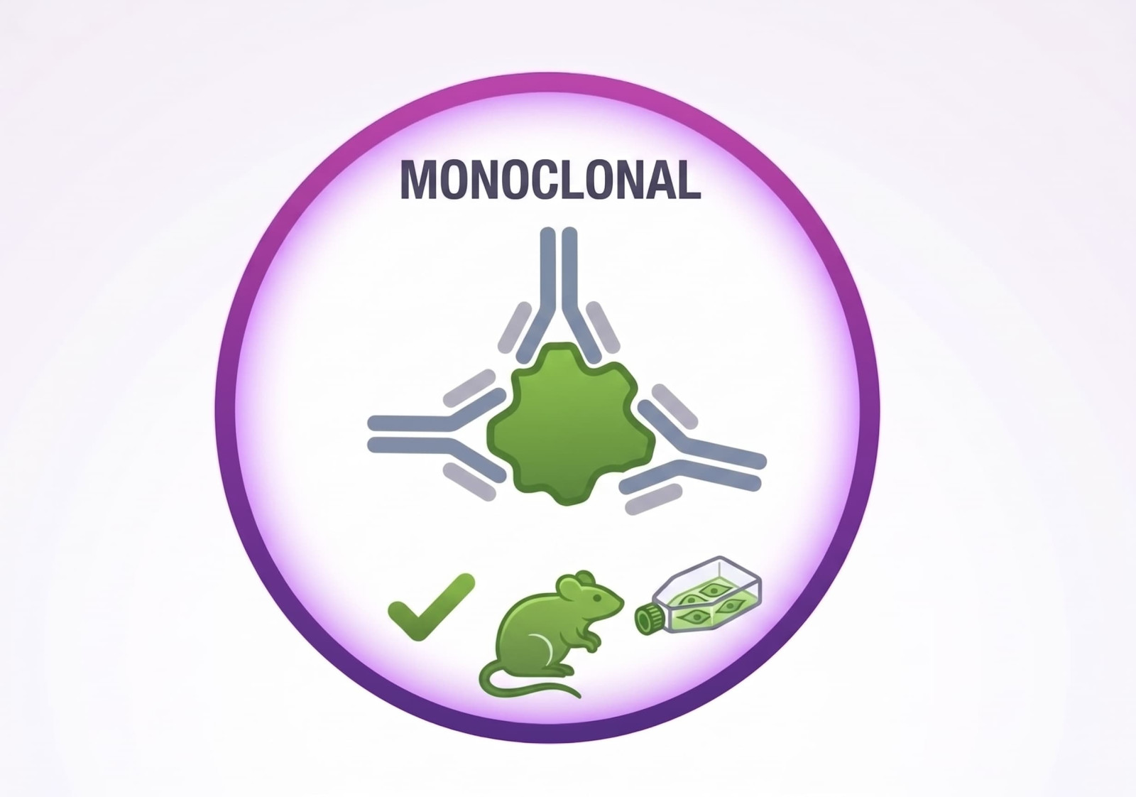 Monoclonal Antibodies Data Output